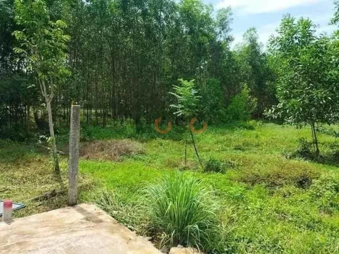 Bán đất Phú Lộc, Thừa Thiên Huế – giá 852 triệu