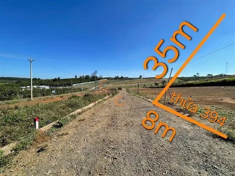 Bán đất Huyện Bảo Lâm, Lâm Đồng – giá 449 triệu