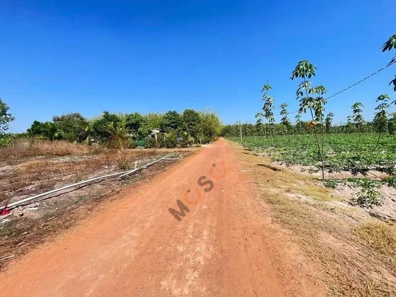 Bán đất Huyện Tân Châu, Tây Ninh – giá 139.8 triệu