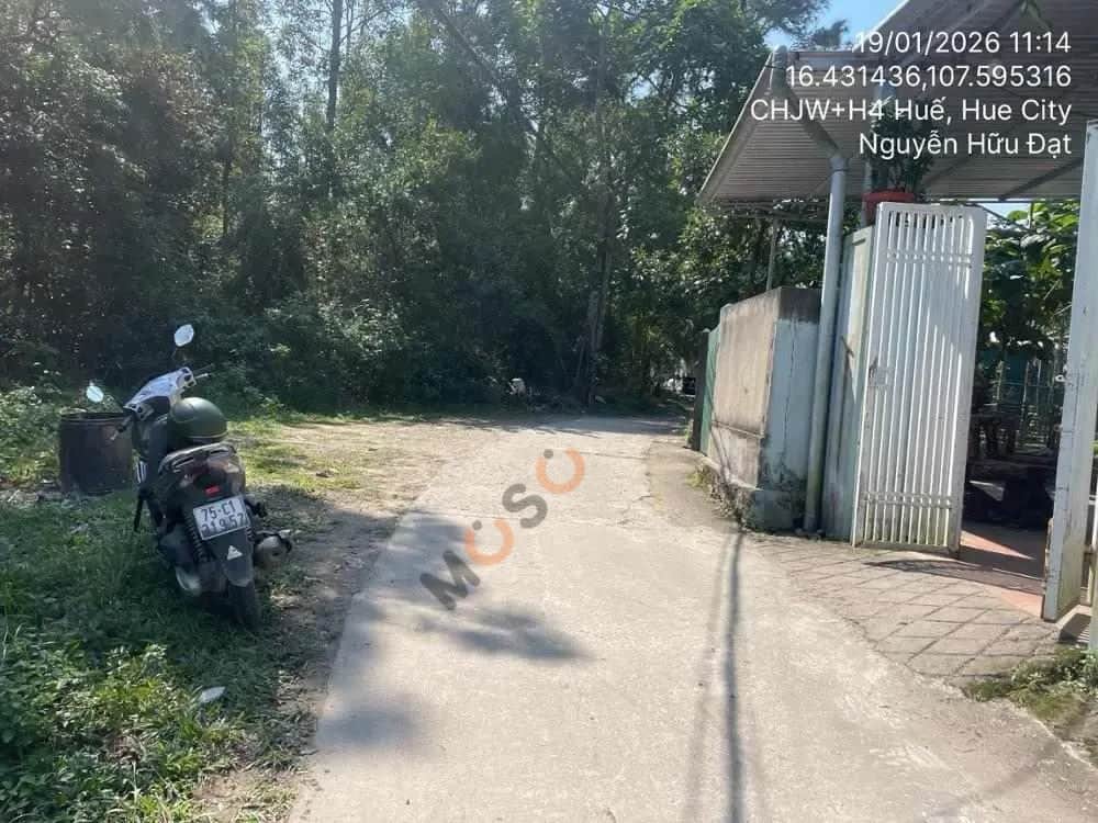 Bán đất Tam Thai Thành phố Huế, Thừa Thiên Huế – giá 1 tỷ