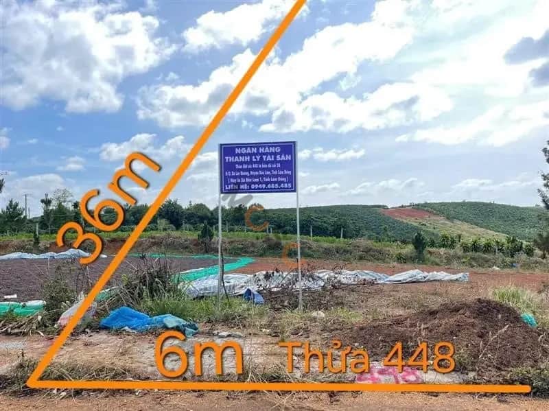 Bán đất Huyện Bảo Lâm, Lâm Đồng – giá 471.5 triệu