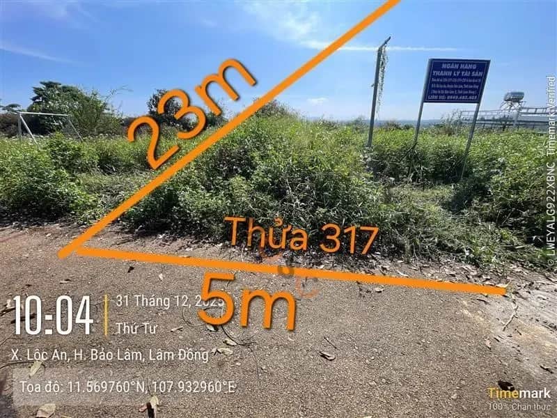Bán đất Huyện Bảo Lâm, Lâm Đồng – giá 258.1 triệu