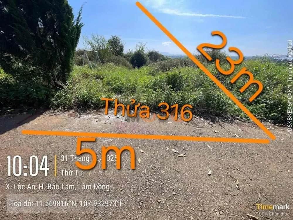 Bán đất Huyện Bảo Lâm, Lâm Đồng – giá 258.1 triệu
