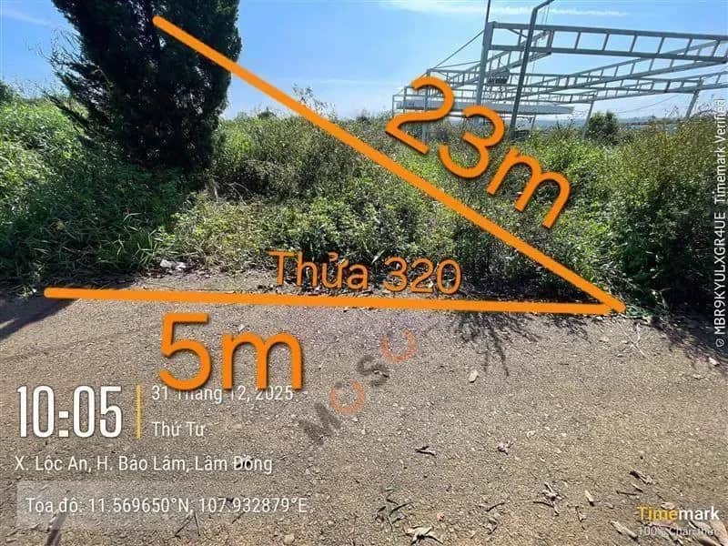 Bán đất Huyện Bảo Lâm, Lâm Đồng – giá 258.8 triệu