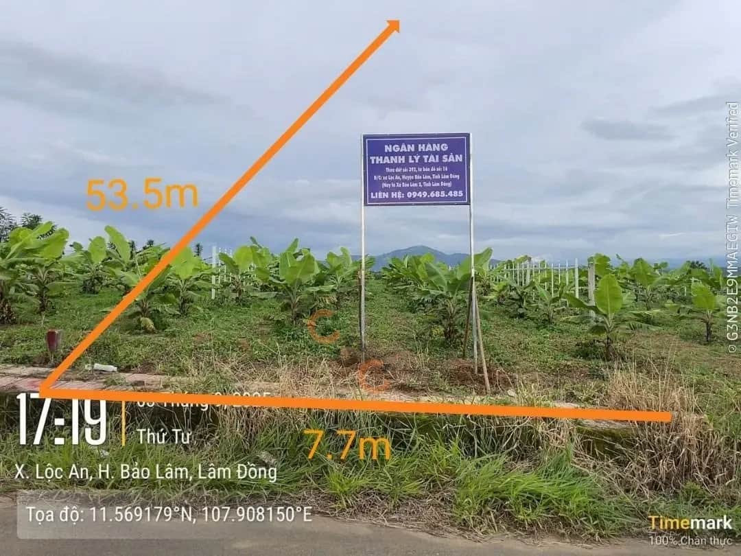 Bán đất Huyện Bảo Lâm, Lâm Đồng – giá 504 triệu