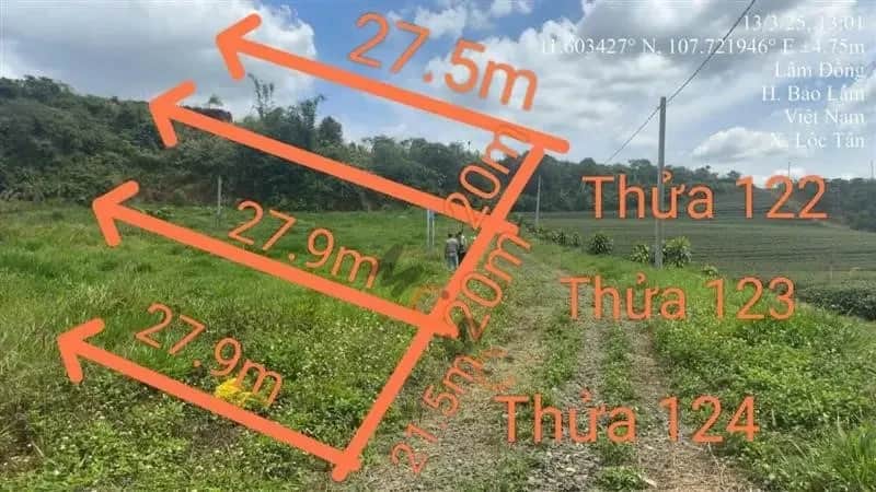 Bán đất Huyện Bảo Lâm, Lâm Đồng – giá 576 triệu
