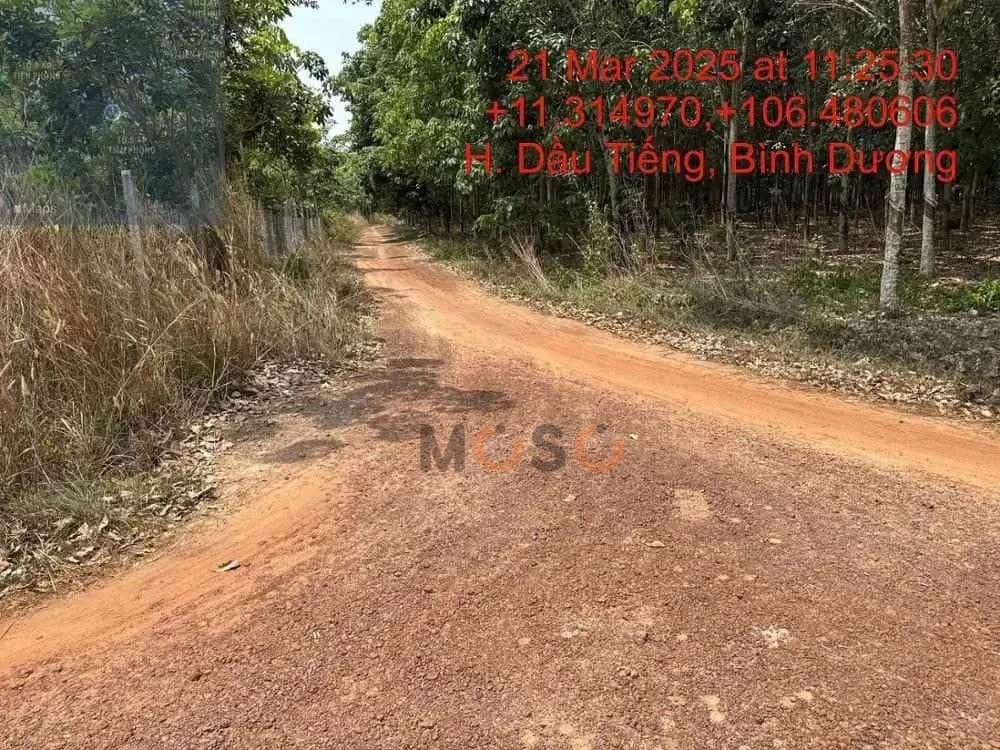 Bán đất Dầu Tiếng, Bình Dương – giá 866 triệu