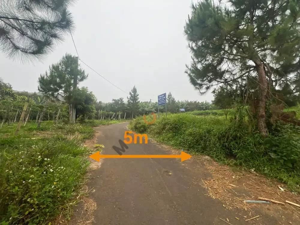 Bán đất Thành phố Bảo Lộc, Lâm Đồng – giá 1.3 tỷ