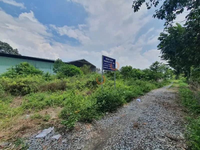 Bán đất Dầu Tiếng, Bình Dương – giá 648.3 triệu