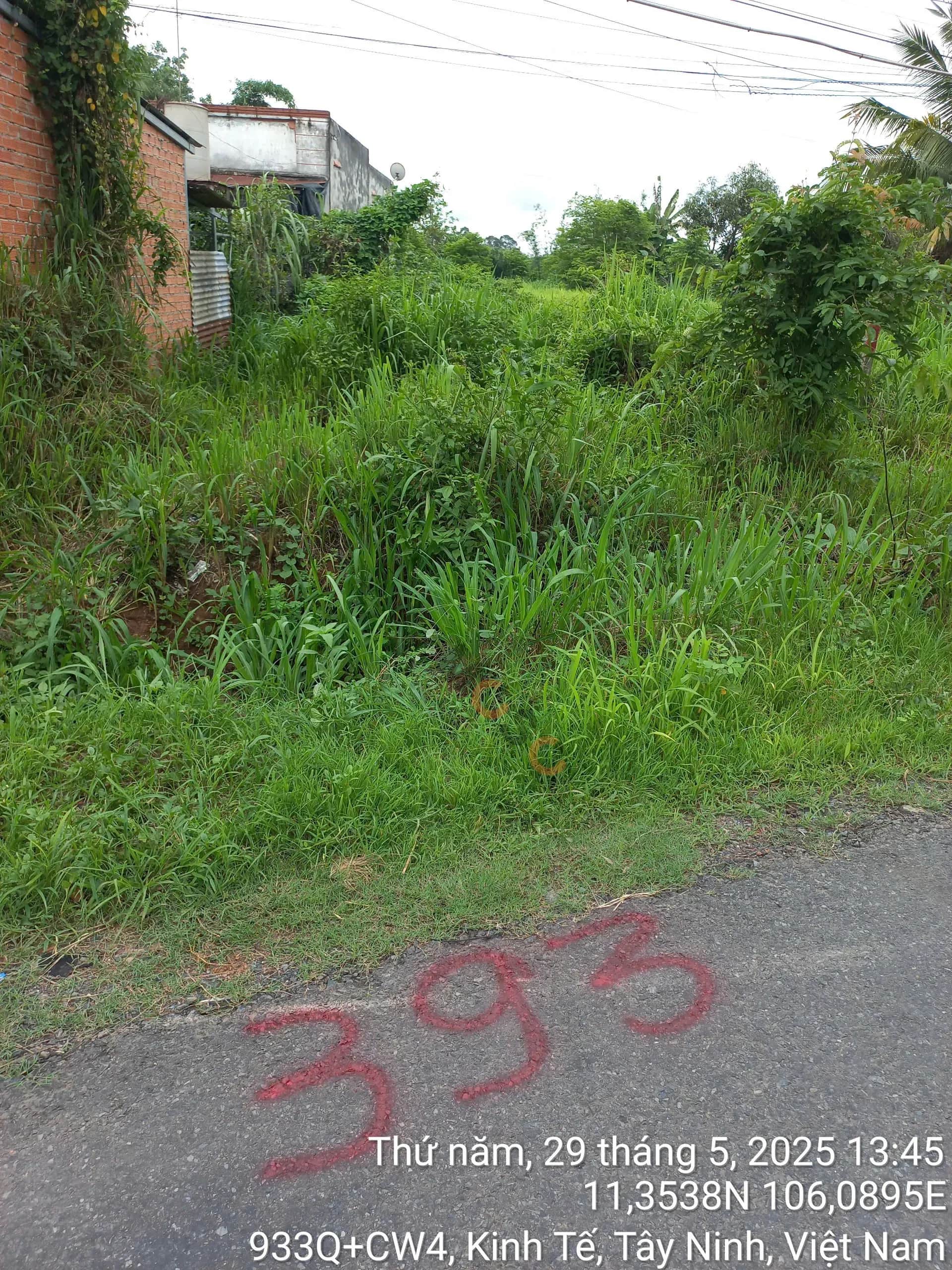Bán đất Thành phố Tây Ninh, Tây Ninh – giá 985 triệu