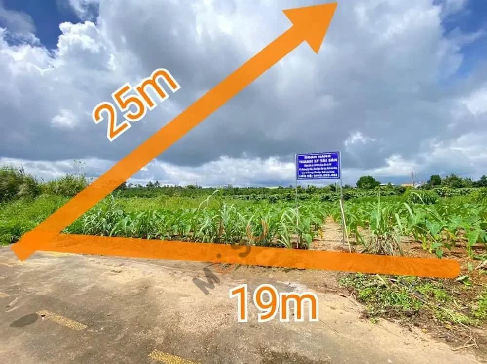 Bán đất Bảo Lộc, Lâm Đồng – giá 1 tỷ