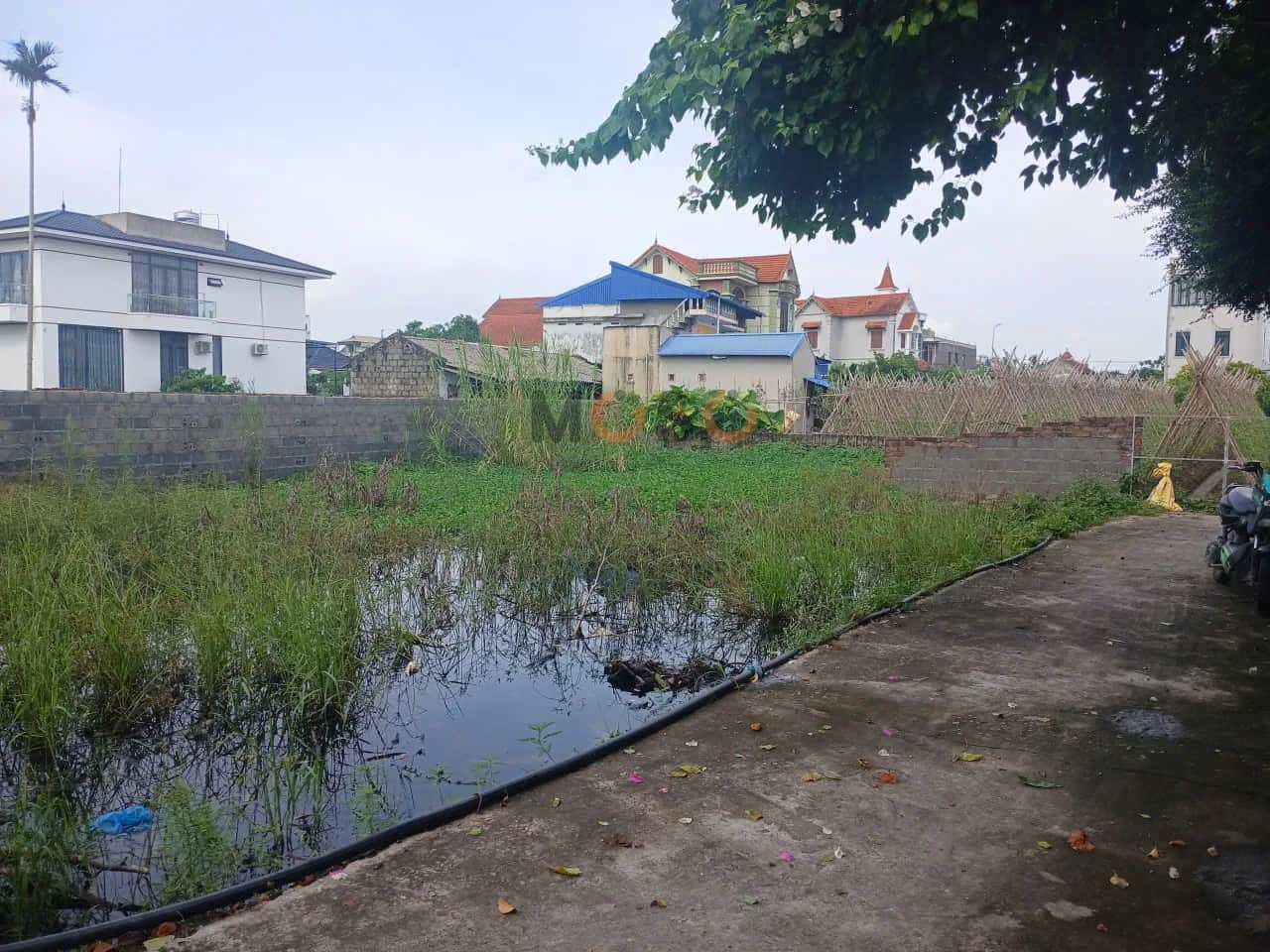 Bán đất Triệu Việt Vương Huyện Khoái Châu, Hưng Yên – giá 700 triệu