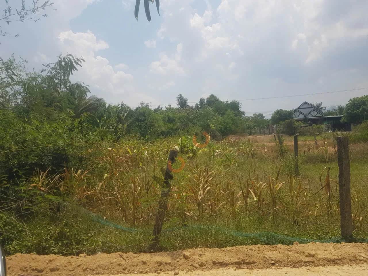 Bán đất thôn Tân Hiệp  Thị xã Ninh Hòa, Khánh Hòa – giá 440 triệu