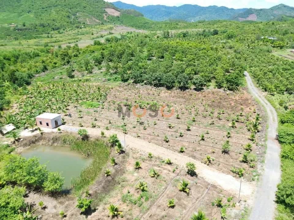 Bán đất thôn Cẩm Sơn Huyện Diên Khánh, Khánh Hòa – giá 490 triệu