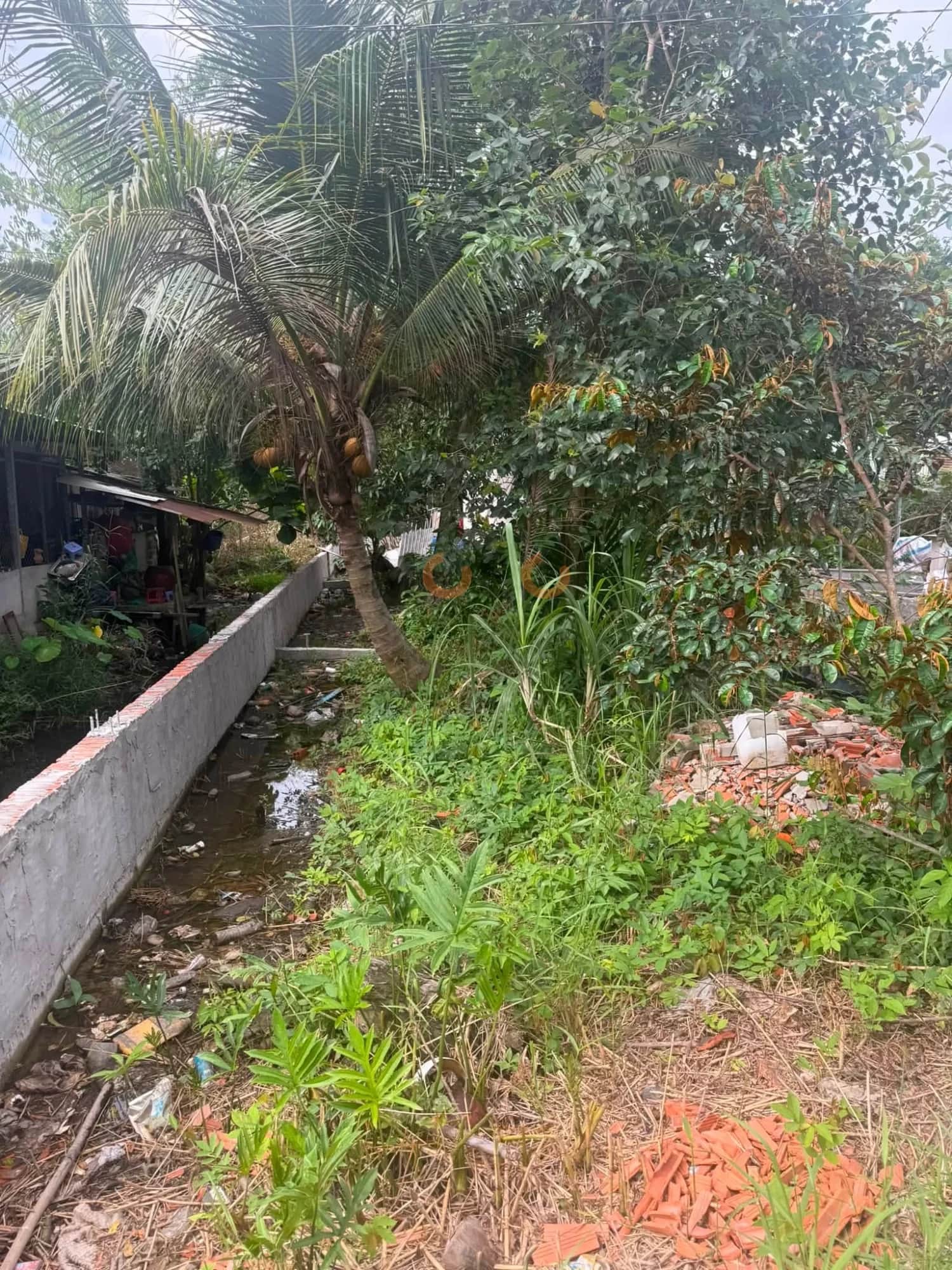 Bán đất Rạch Trà Niền Lớn Huyện Phong Điền, TP. Cần Thơ – giá 690 triệu