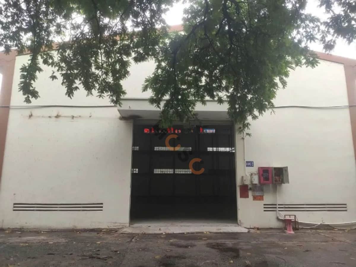 Cho thuê kho, nhà xưởng Trường Sơn Quận 10, TP.HCM – giá 50 triệu