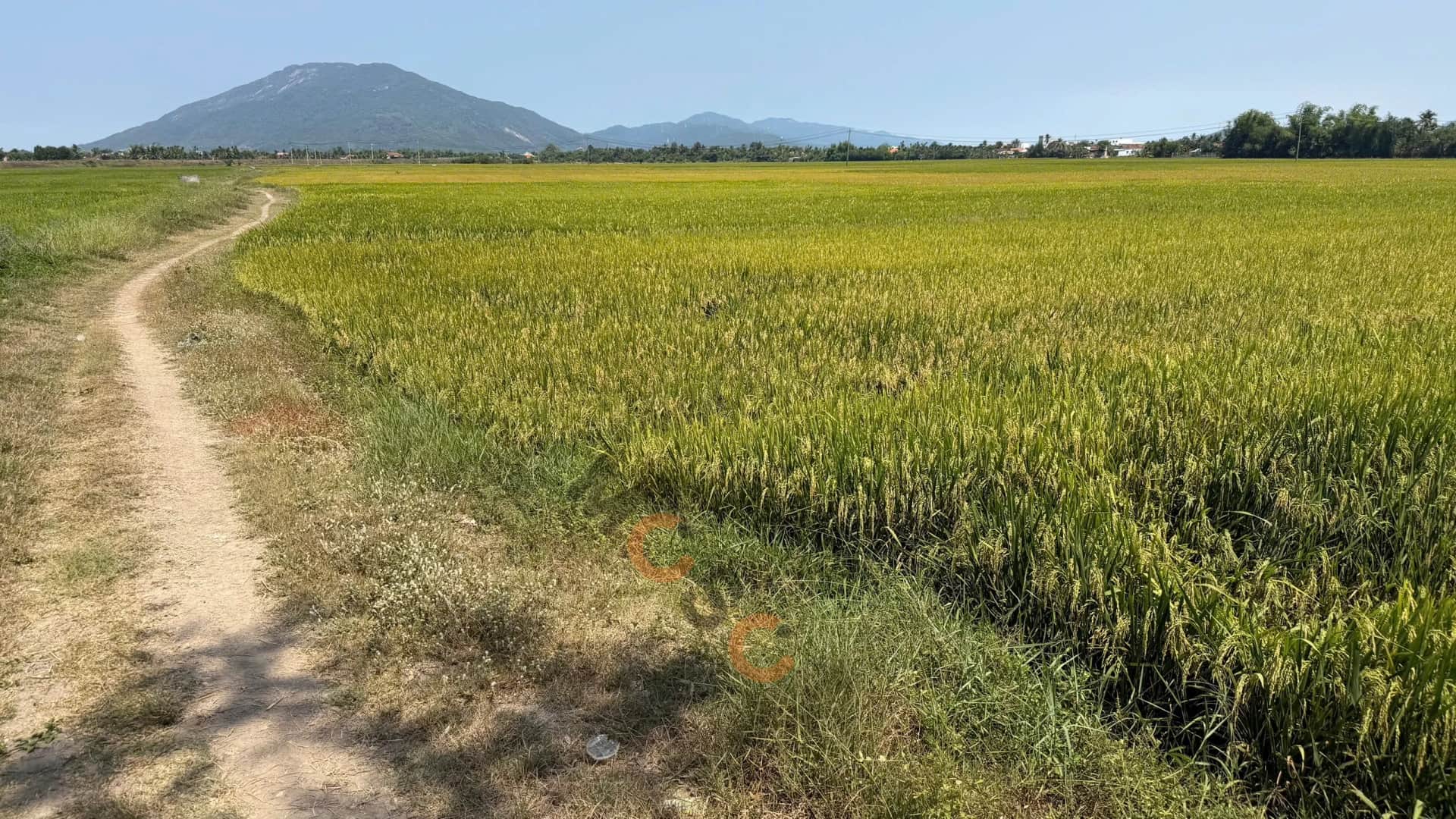 Bán đất Quốc Lộ 26 Thị xã Ninh Hòa, Khánh Hòa – giá 8.6 tỷ