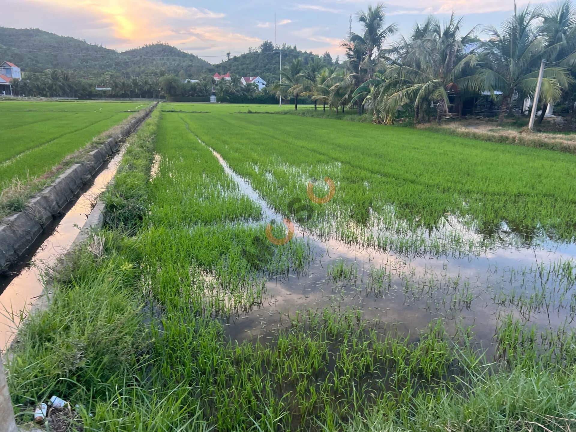 Bán đất Trần Quý Cáp Thị xã Ninh Hòa, Khánh Hòa – giá 10.8 tỷ