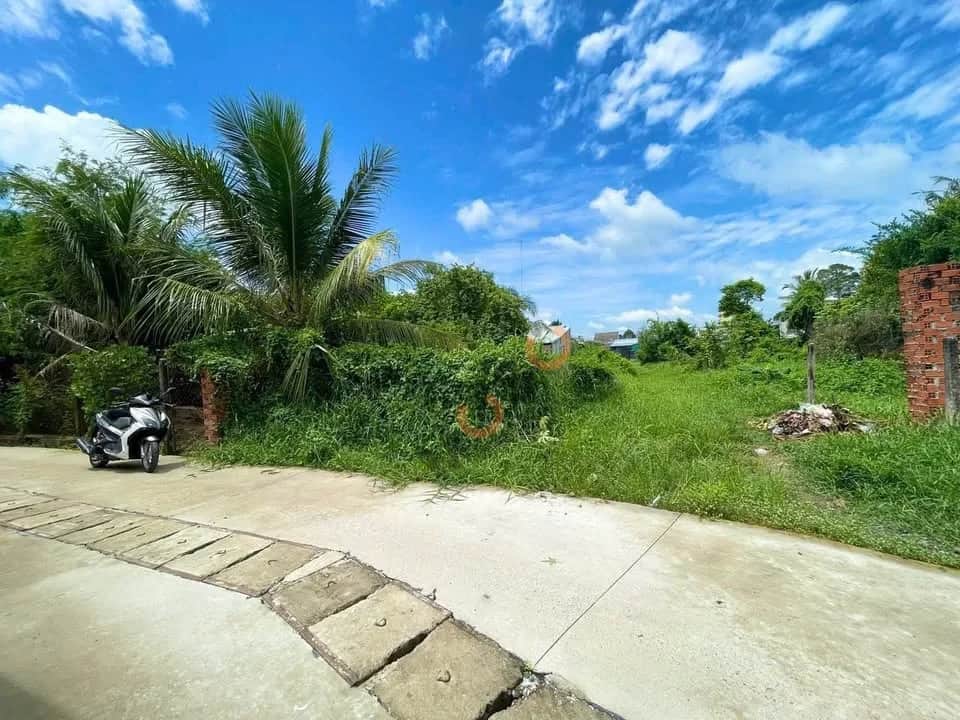 Bán đất hẻm đường Quốc Lộ 22B, Ấp Cây Ninh  Huyện Gò Dầu, Tây Ninh – giá 500 triệu