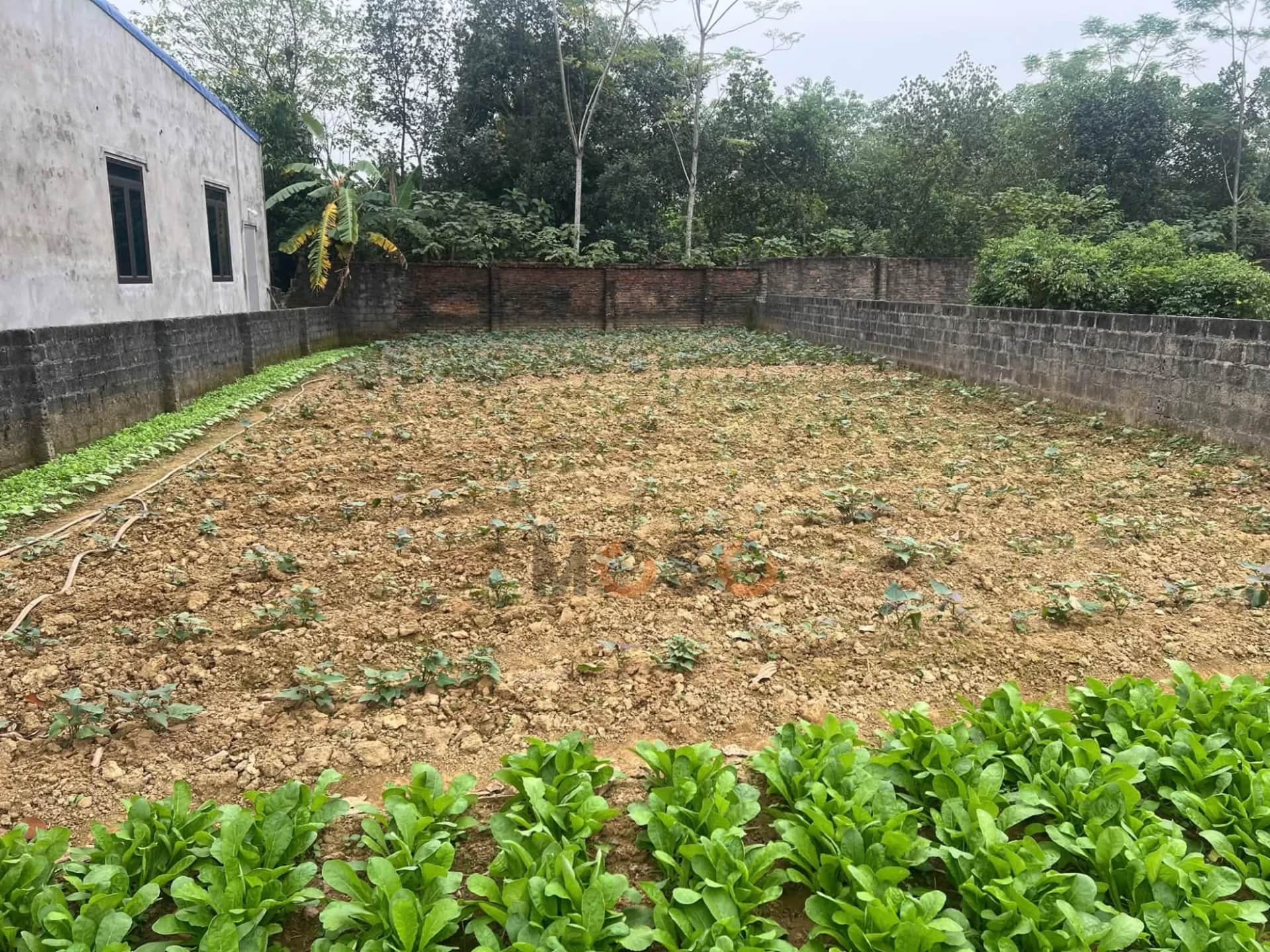 Bán đất Thôn Xuân Linh Huyện Chương Mỹ, TP. Hà Nội – giá 5.4 tỷ
