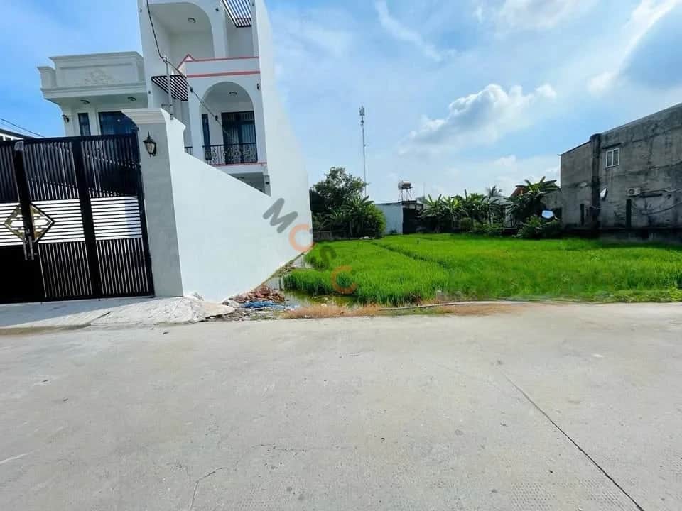 Bán đất Nhánh TL825 Huyện Đức Hòa, Long An – giá 1.4 tỷ