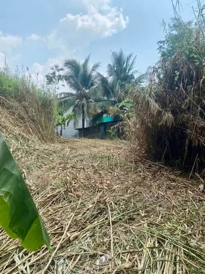 Bán đất  hẻm Nguyễn Văn Nhâm Thành phố Tân An, Long An – giá 750 triệu