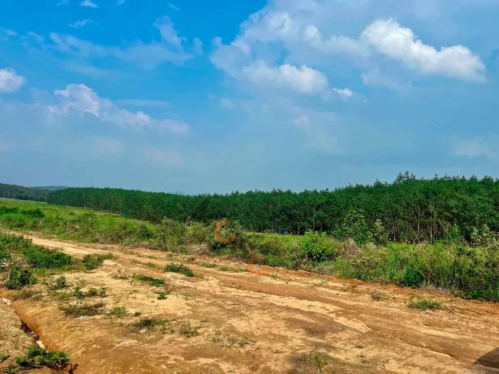 Cho thuê đất Pleiku, Gia Lai – giá 900 triệu