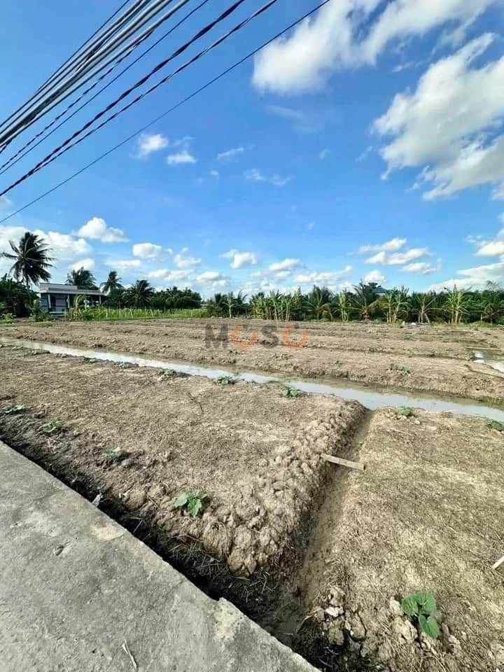 Bán đất hẻm Lê Văn Cảng Thành phố Tân An, Long An – giá 1.3 tỷ