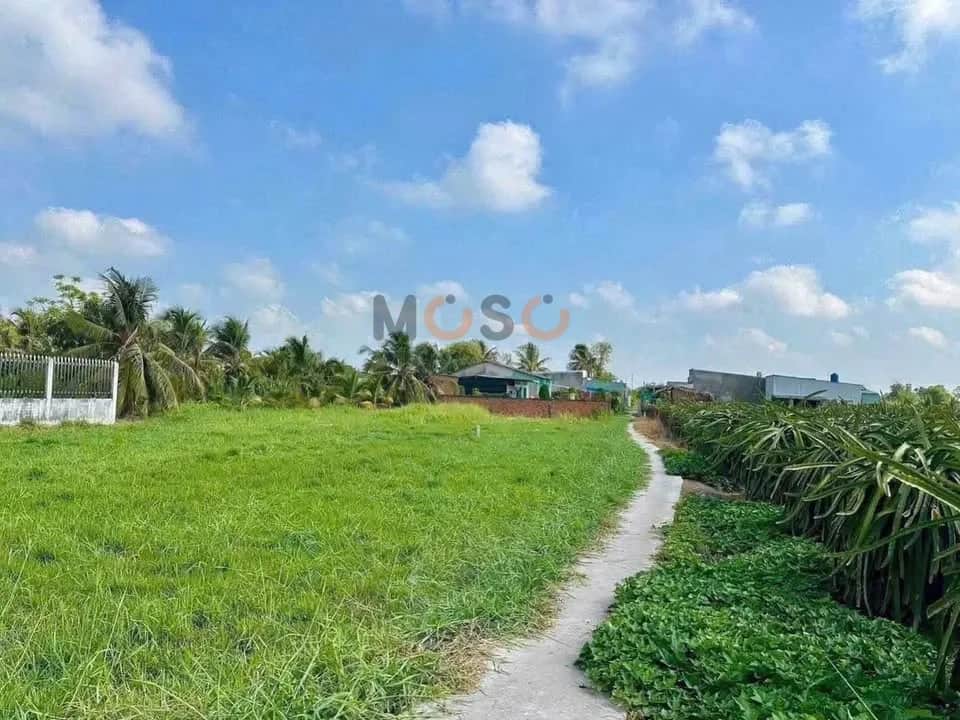 Bán đất hẻm Châu Thị Kim Thành phố Tân An, Long An – giá 500 triệu