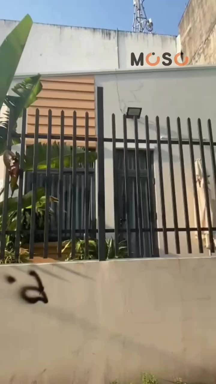 7683699601774.mp4