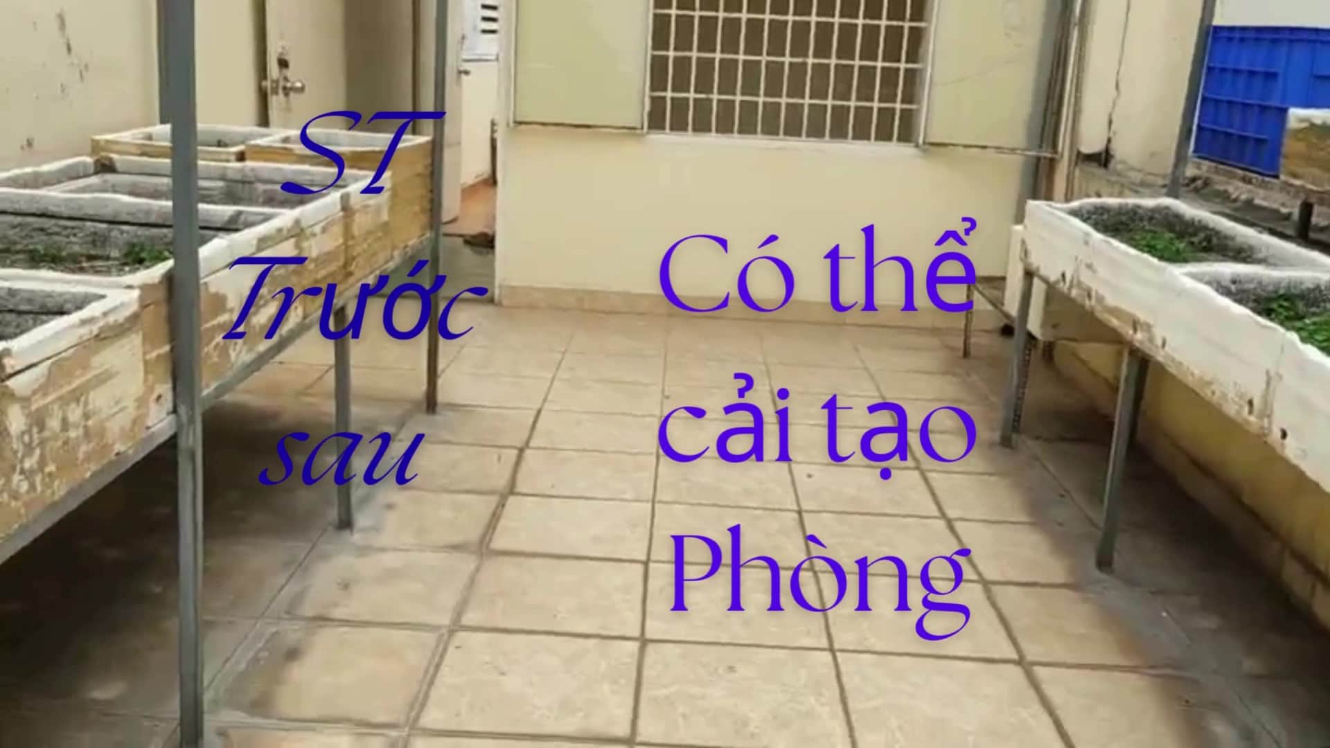 2'30 đã chỉnh sửa.mp4