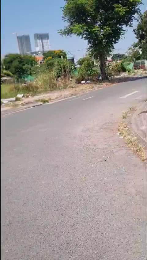 7632914800720.mp4