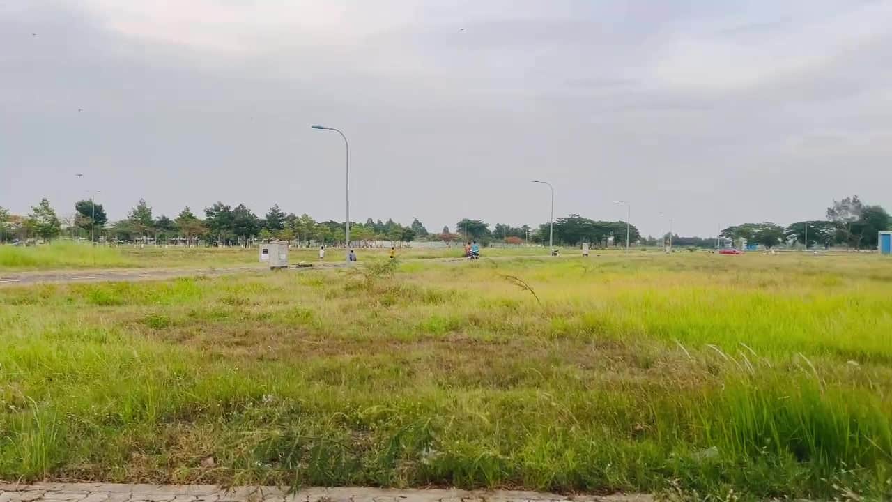 8043578351350.mp4