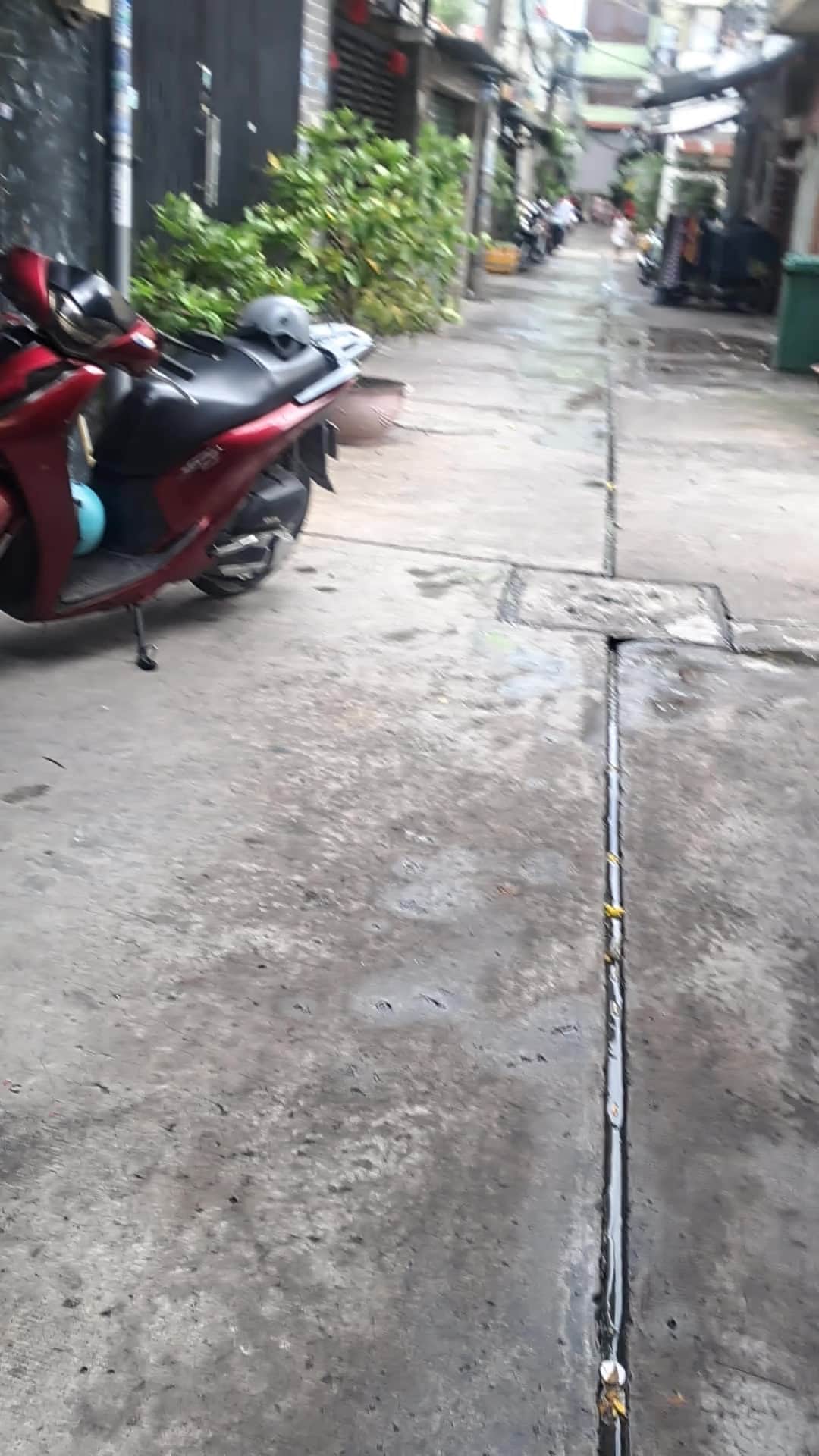 1000007185.mp4