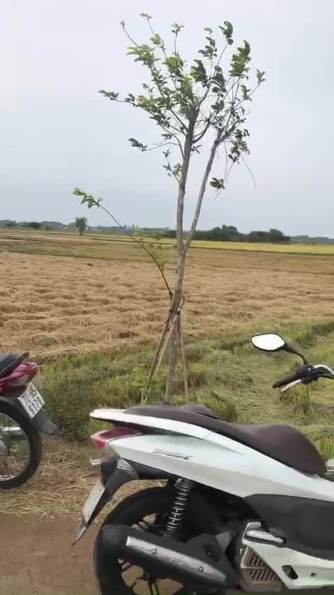 2aOboQuNfBpwafOKXS4KC07nPtUHaPoJzvJgUDJY.mp4