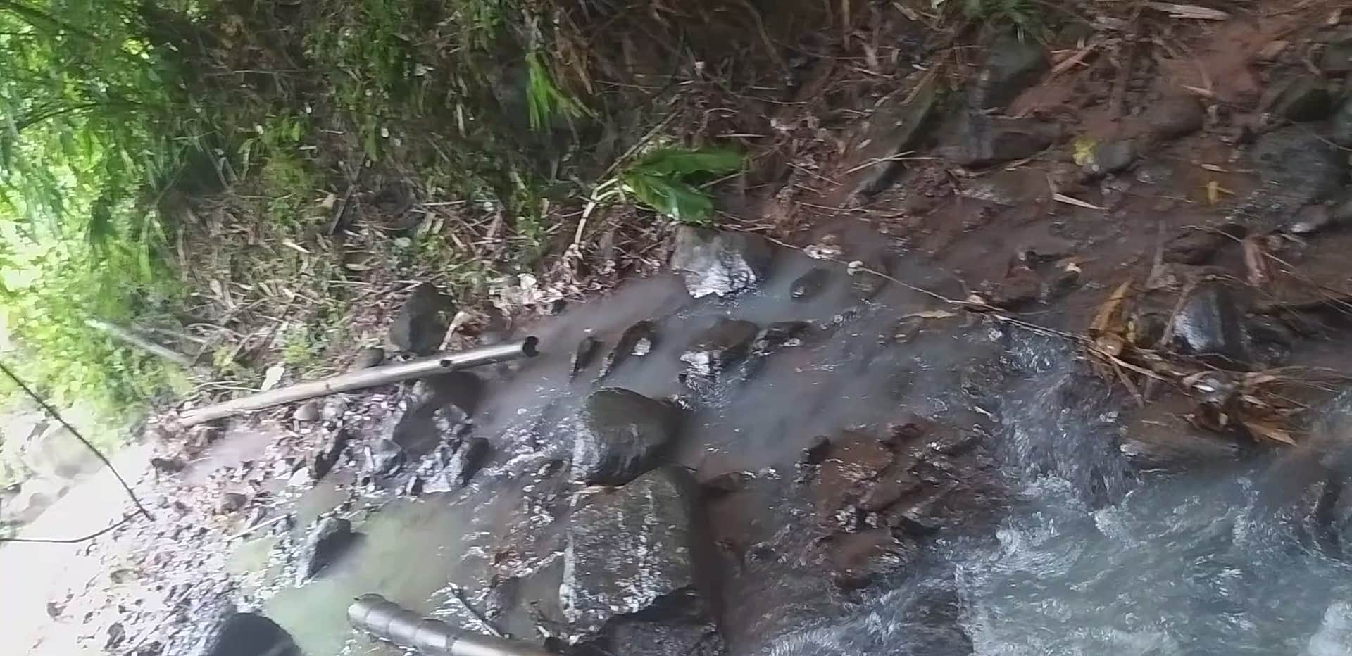 20260906_080545.mp4