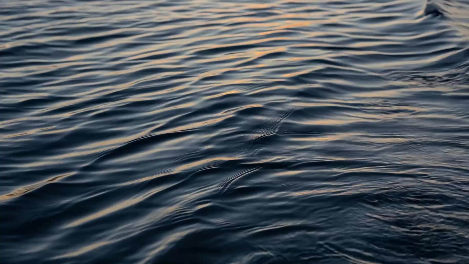 video TC.mov