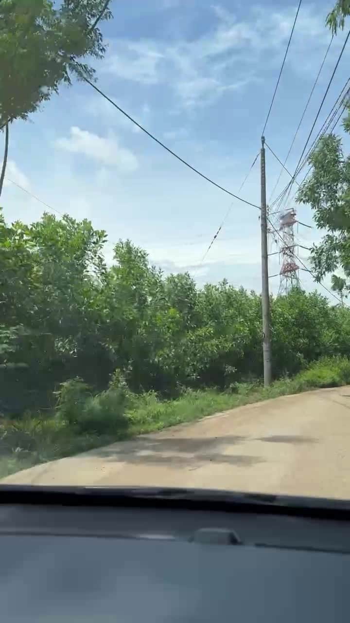 8041632509793.mp4