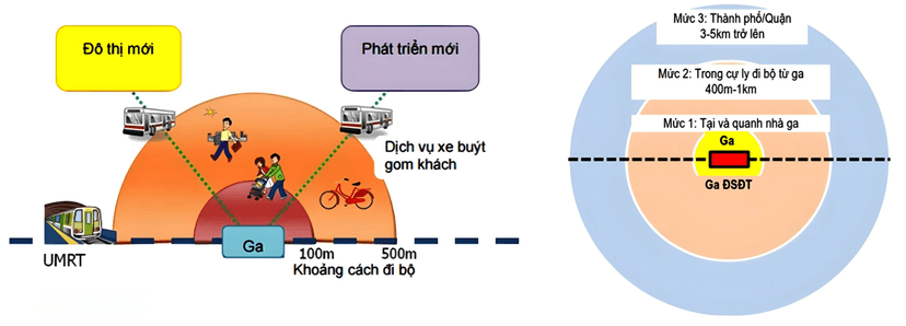 TP.HCM chú trọng phát triển theo mô hình TOD