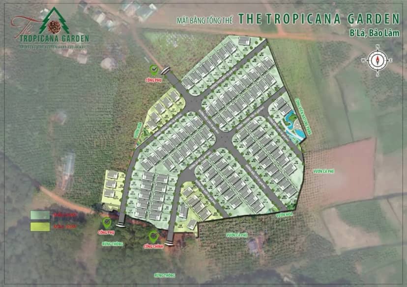 The Tropicana Garden