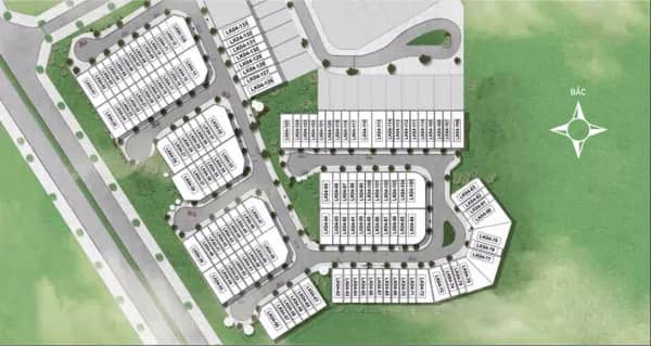 Camelia Homes