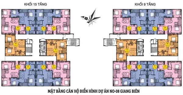 NO-08 Giang Biên