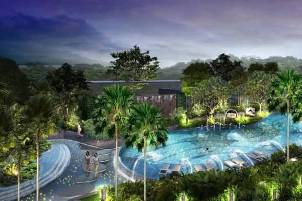 Palm Garden