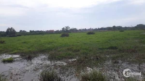 Phát An Gia Riverside