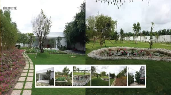 Dream Home