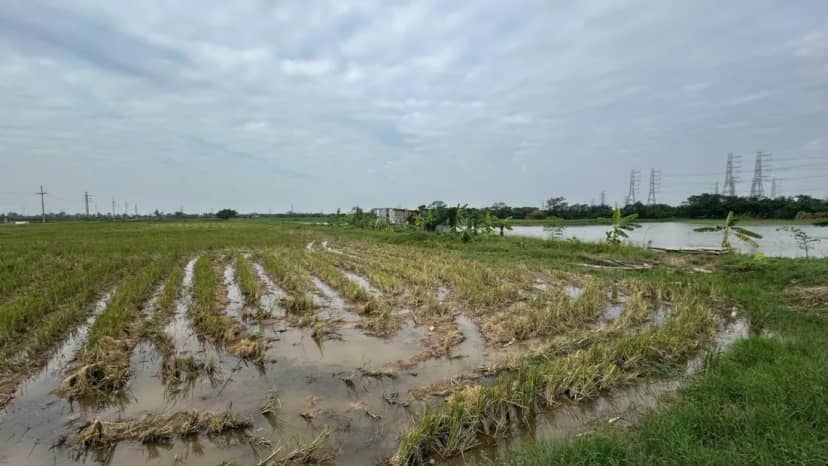 Cụm công nghiệp làng nghề Hòa Bình giai đoạn 1