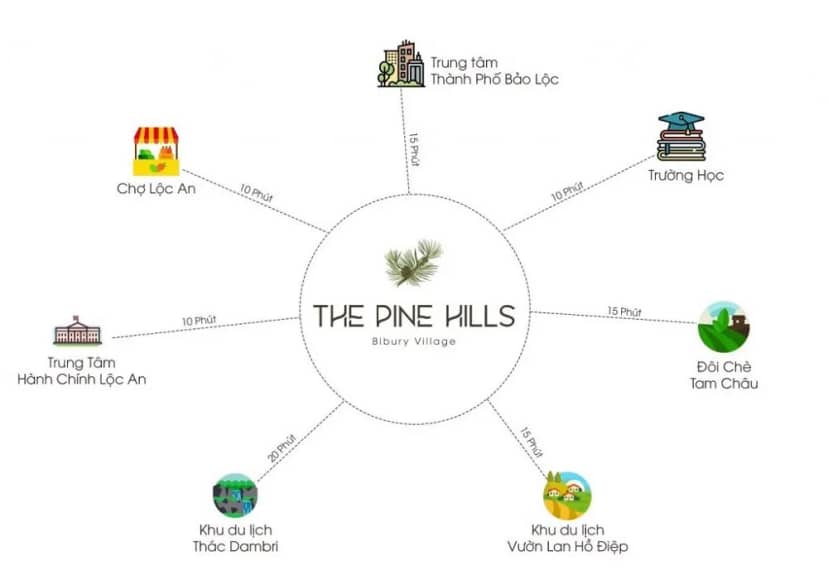 The Pine Hills