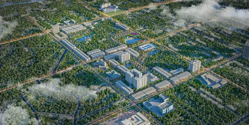 Diamond Paragon