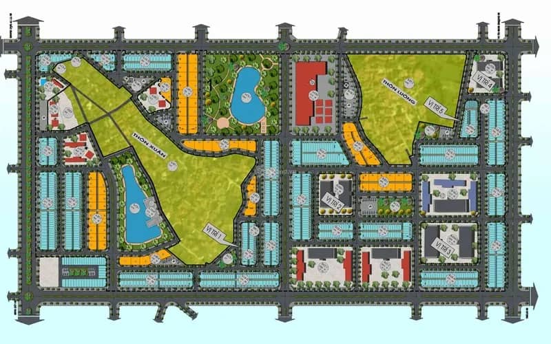 Diamond Paragon