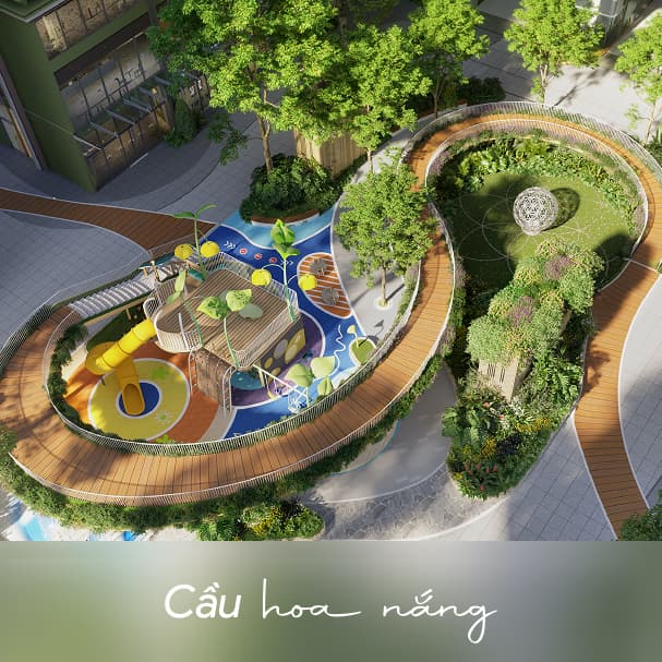 Cầu hoa nắng